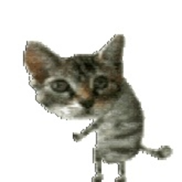 Meet your Posher, Shayleen - Picture 1 of 1